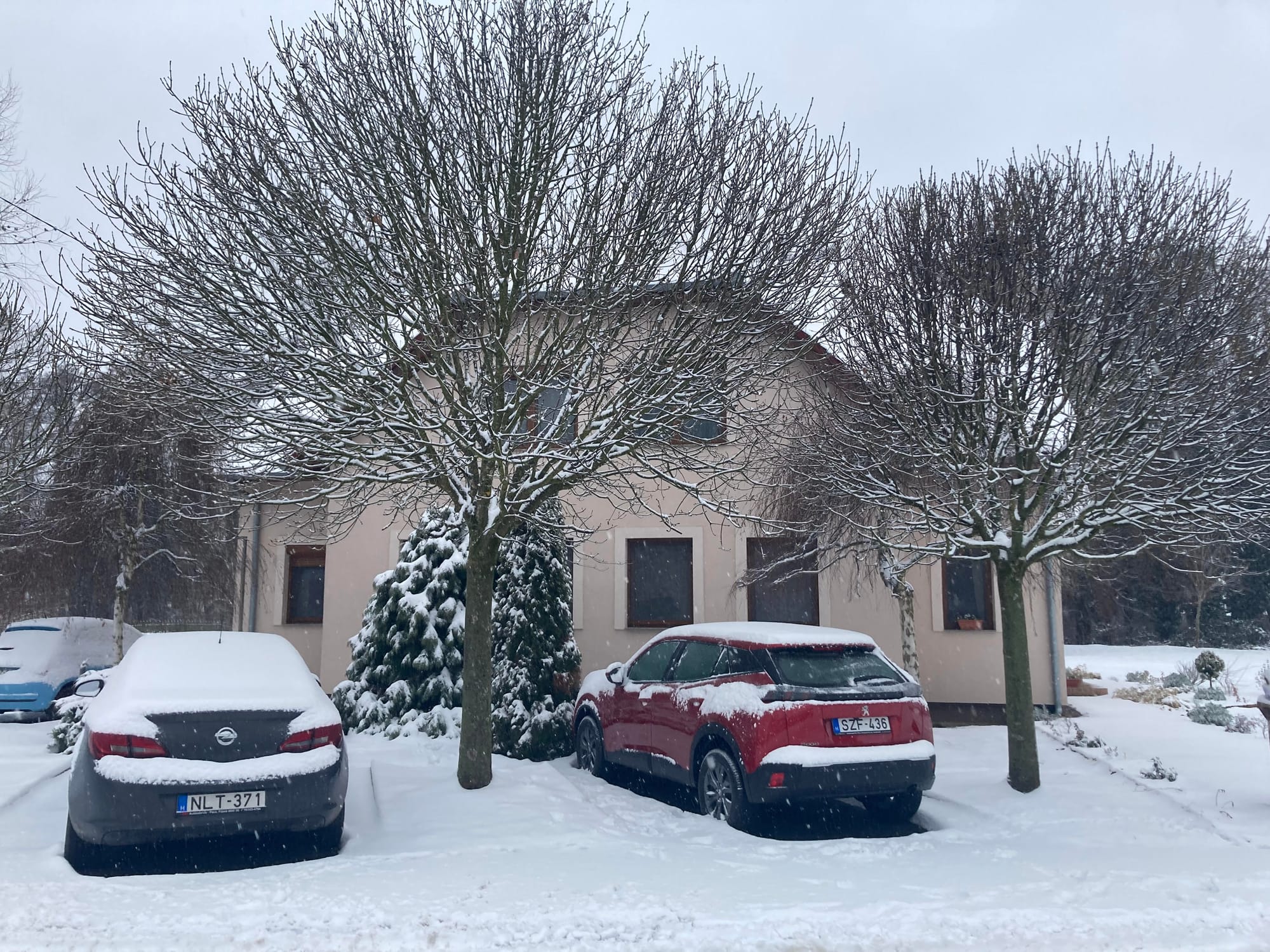 Madárcsicsergős kertecskénk