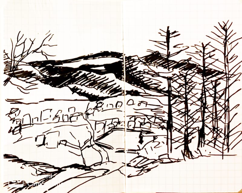 Doodles