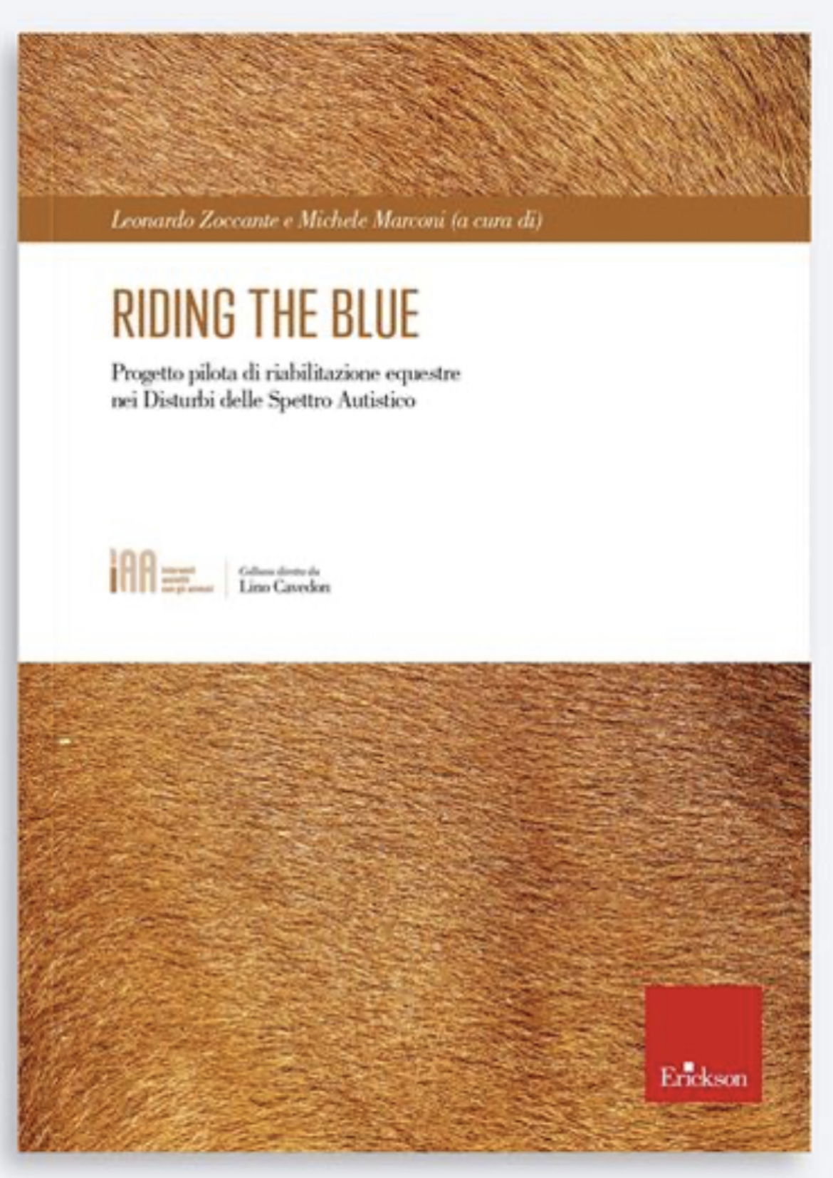 PROGETTO DI RICERCA RIDING THE BLUE