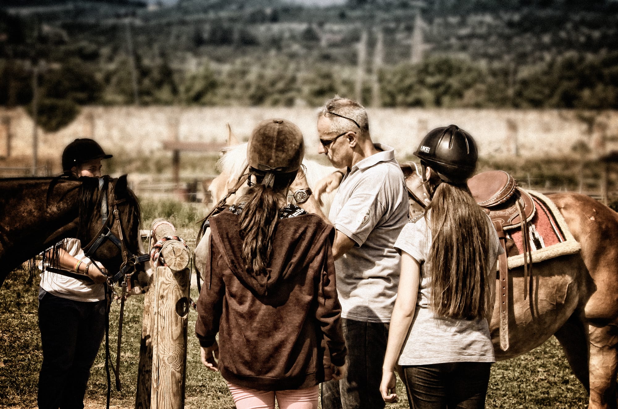 The healing power of horses- Video