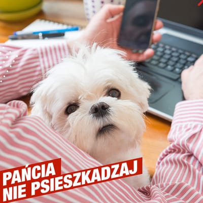 Kup ubezpieczenie psa