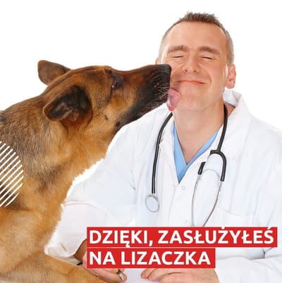Zgłoś szkodę