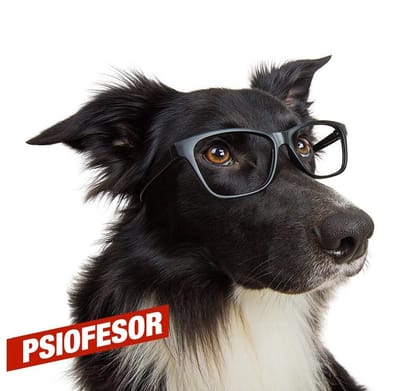 Poznaj zakres ubezpieczenia