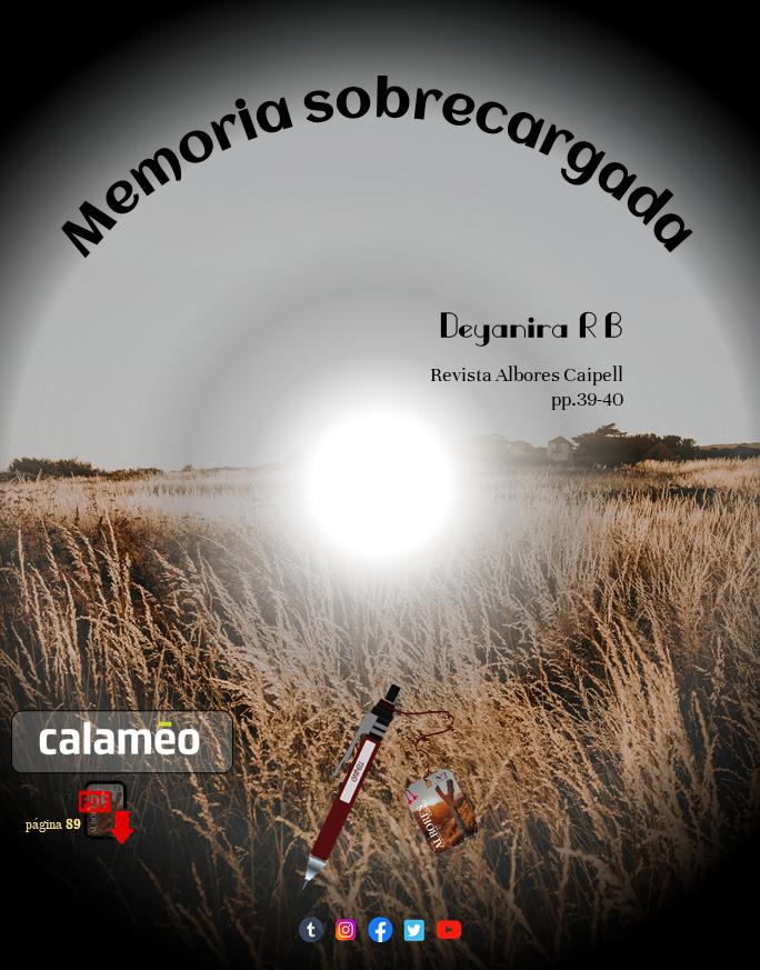 MEMORIA SOBRECARGADA