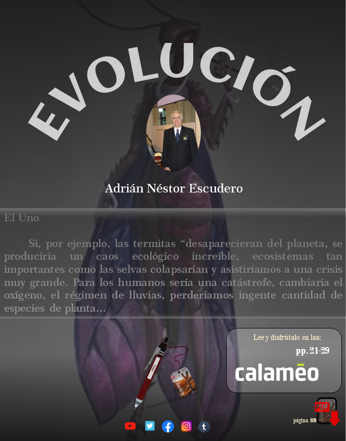 EVOLUCIÓN