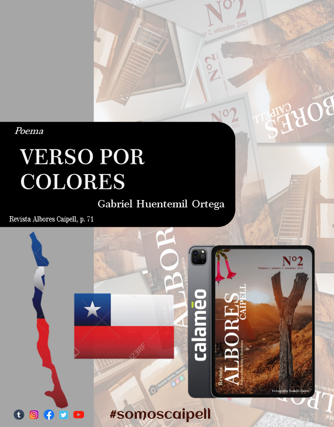 VERSO POR COLORES