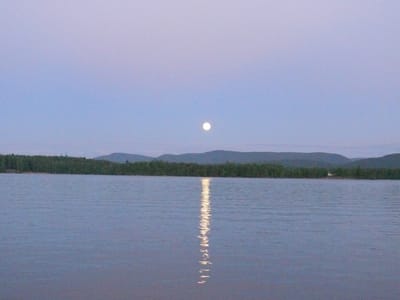 Life's Reflections Videos image