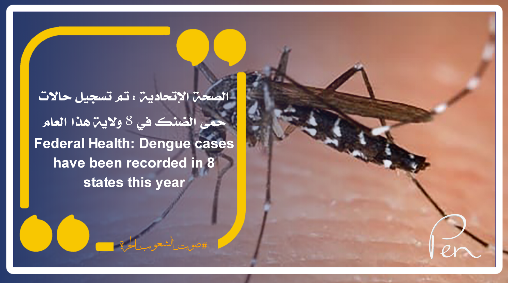 Federal Health: Dengue fever cases were recorded in 8 states this year