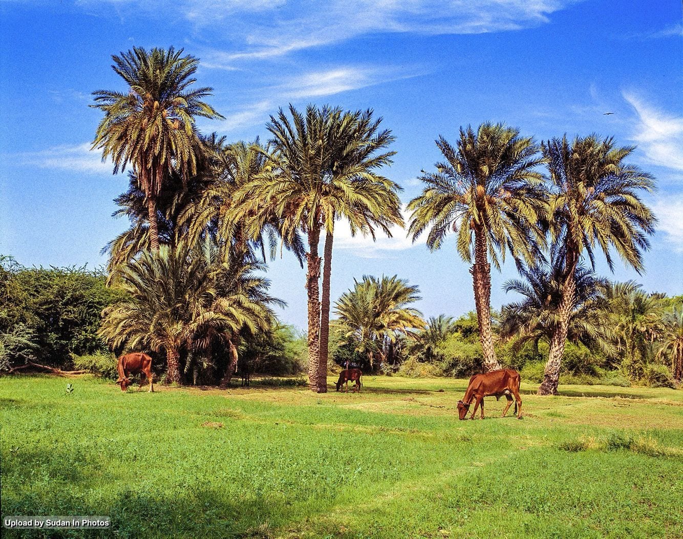 River Nile State