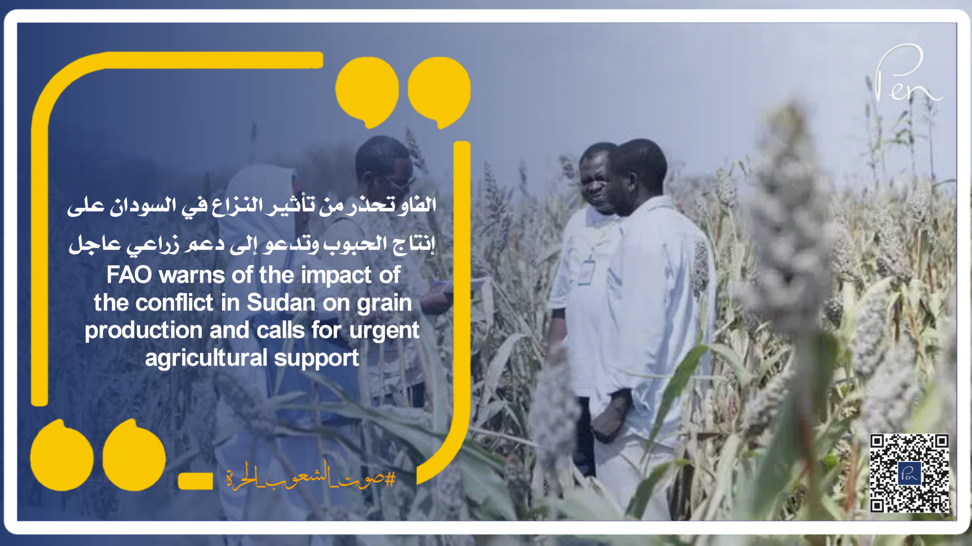 FAO warns of the impact of the conflict in Sudan on grain production and calls for urgent agricultural support