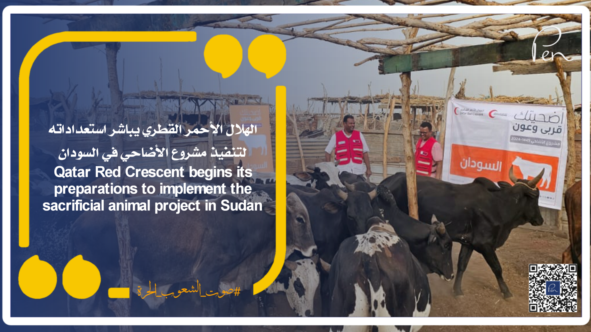 Qatar Red Crescent begins its preparations to implement the sacrificial animal project in Sudan