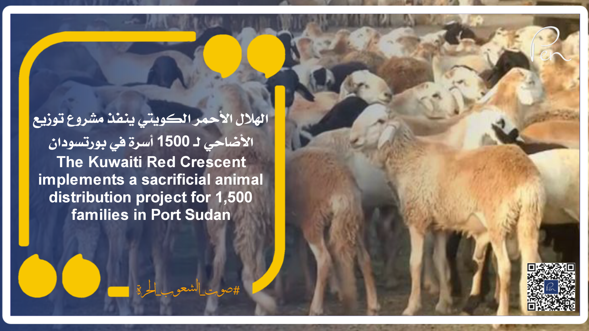 The Kuwaiti Red Crescent implements a sacrificial animal distribution project for 1,500 families in Port Sudan