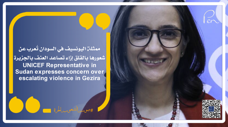 The UNICEF representative in Sudan expresses her concern about the escalation of violence on the island