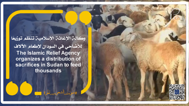 The Islamic Relief Agency organizes a distribution of sacrifices in Sudan to feed thousands