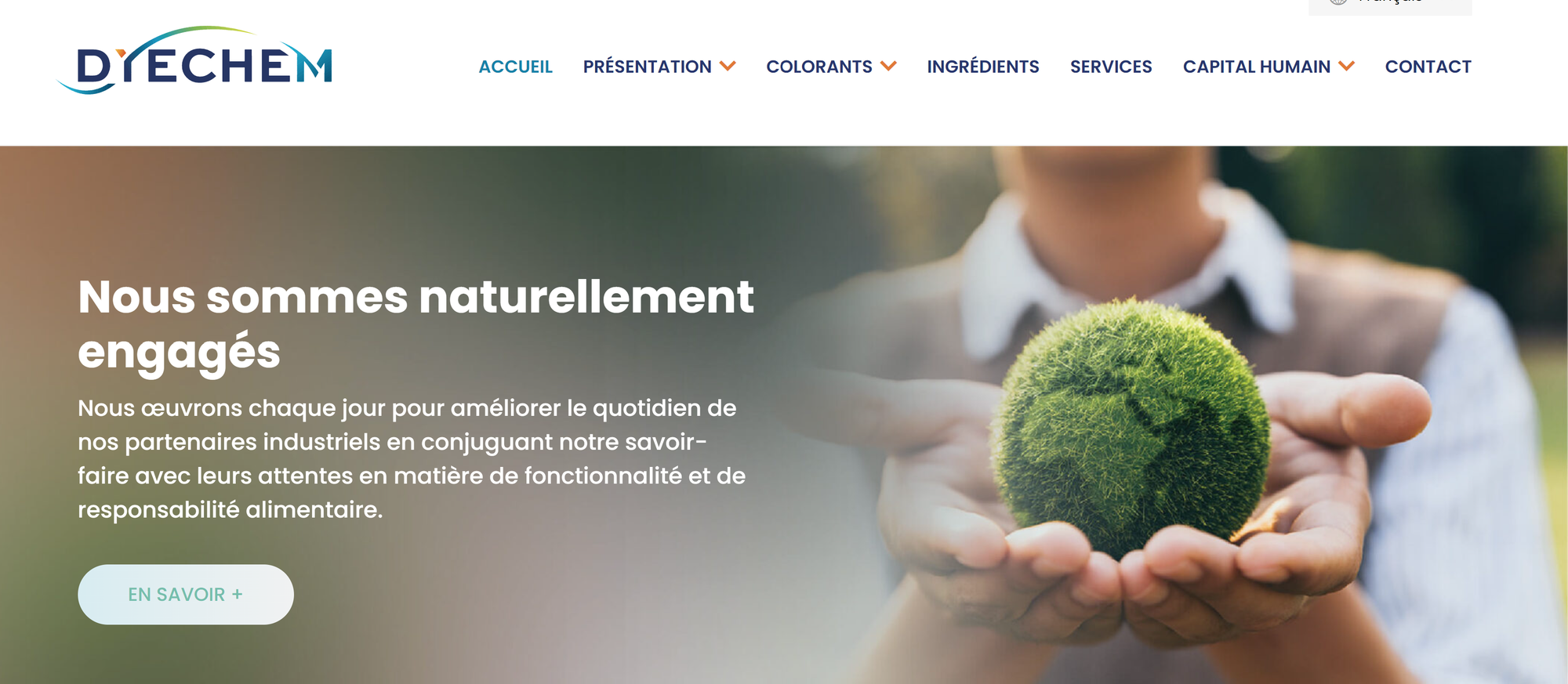 Création de contenu marketing