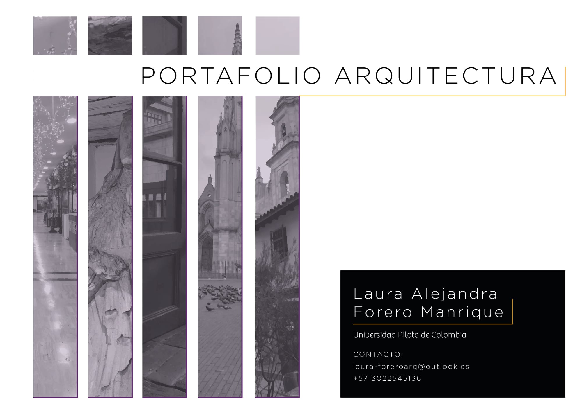 PORTAFOLIO PROFESIONAL