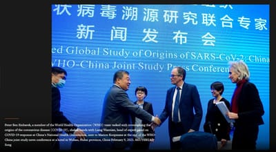 1. Los orígenes del Covid-19