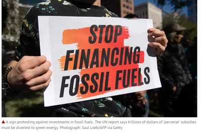 17. "Destruction of nature is senseless and suicidal" said UN Chief