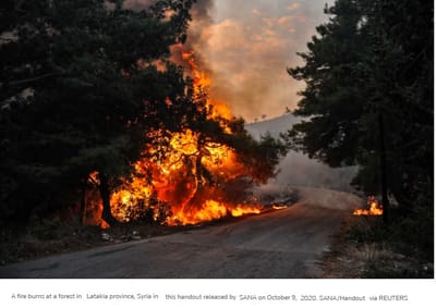 Siria asesina 24 personas causantes enormes incendios forestales