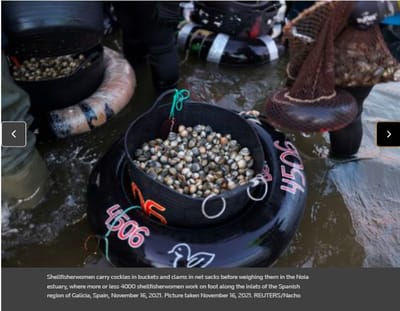 Estados Unidos y la Unión Europea acuerdan en tener un tratado para almejas, moluscos y conchas