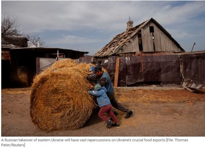 Mientras Rusia avanza por el Este Ucrania se enfrenta a problema de seguridad alimentaria