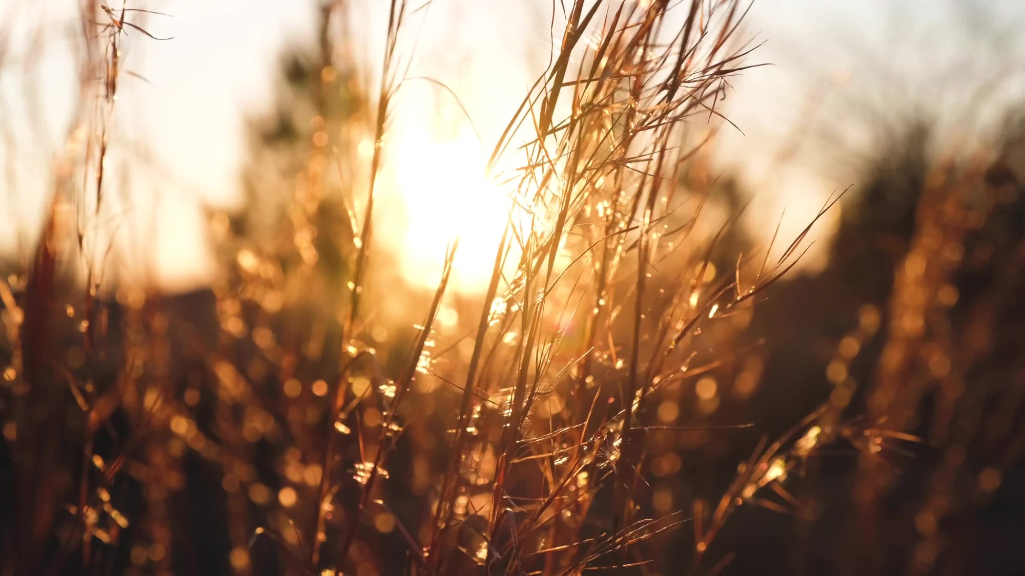 كوتش ريما video thumbnail