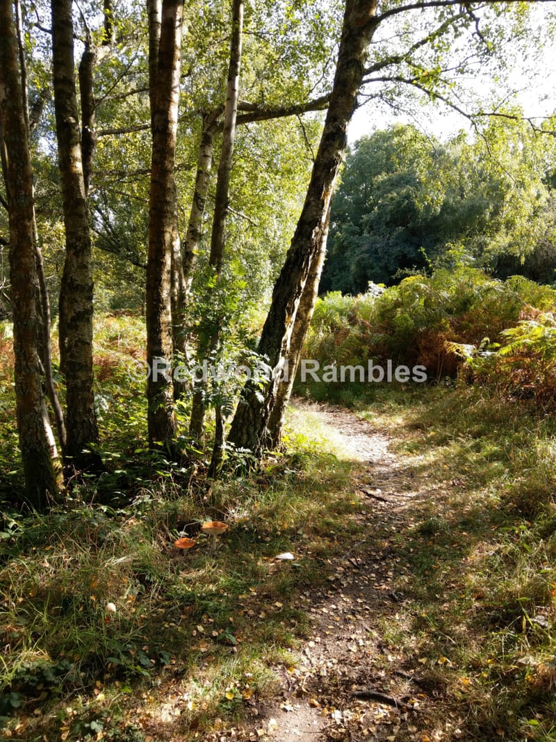 The Story Behind the Name