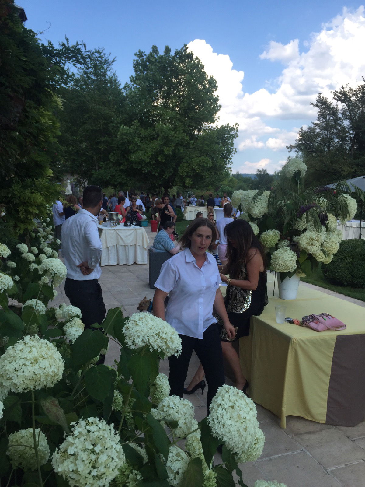 Pierre JOYAUX est l'un des grands JARDINIERS PHILOSOPHE du moment avec plus de 40 ans de jardins privés réalisés dans les châteaux et Belles Demeures historiques d'Europe
