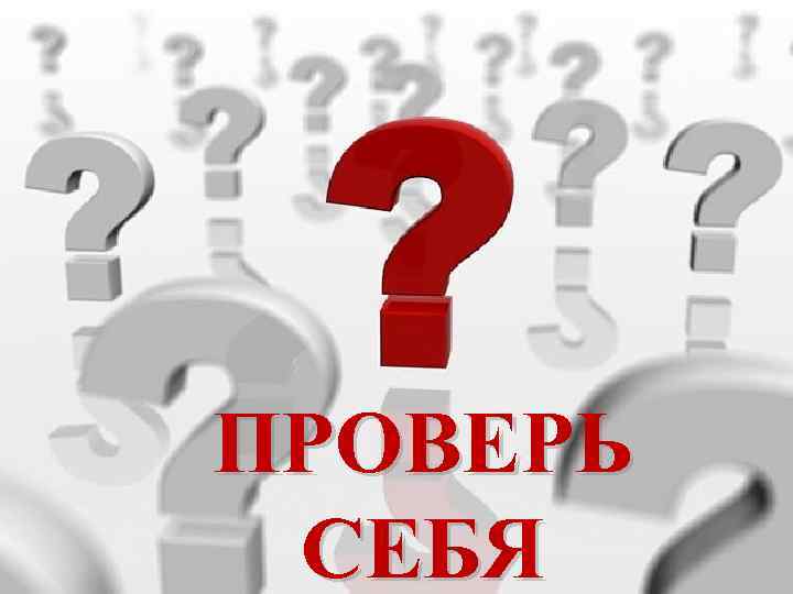 Проверь себя