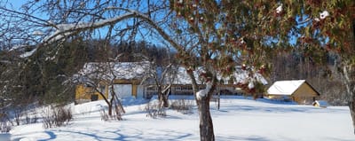 JÕULU- JA UUSAASTAPÜHAD VAKRI PUHKETALUS image