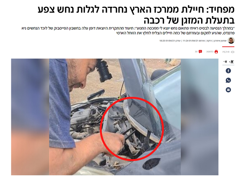 נחש צפע יצא מהמנוע  אל השמשה בזמן נהיגה.