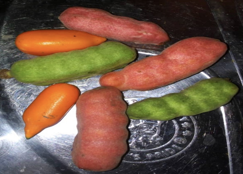 Ako (Pepper Fruit )