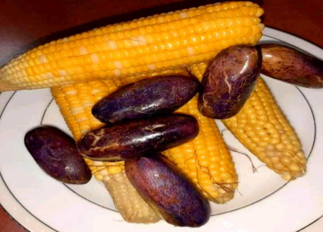 Okha (Corn)