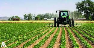 التجارة العراقية: السعودية قدمت مقترحات لتطوير الزراعة في البلاد