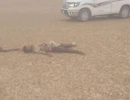 رعاة أغنام يقتلون إرهابياً حاول مهاجمتهم في صحراء الانبار والحشد يؤكد الخبر