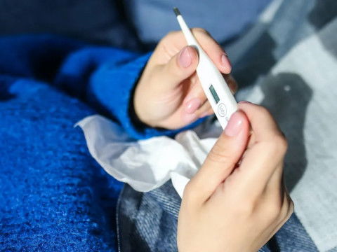 بعوض النمر الآسيوي يفتك بجنوب فرنسا.. تحذير من خطر قادم