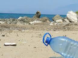 علماء يكتشفون بكتيريا قادرة على تحويل ثاني أكسيد الكربون في الهواء إلى بلاستيك حيوي مفيد