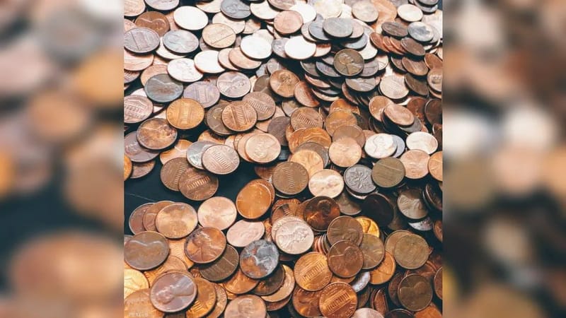 بسبب "الضجر".. زوجان أمريكيان يستغنيان عن كنز بـ1.7 مليون دولار