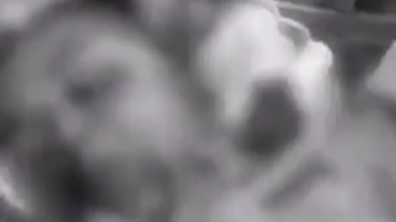 خنقها وهشم جمجمتها.. أب يقتل طفلته لظهورها في "تيك توك" بالخطأ