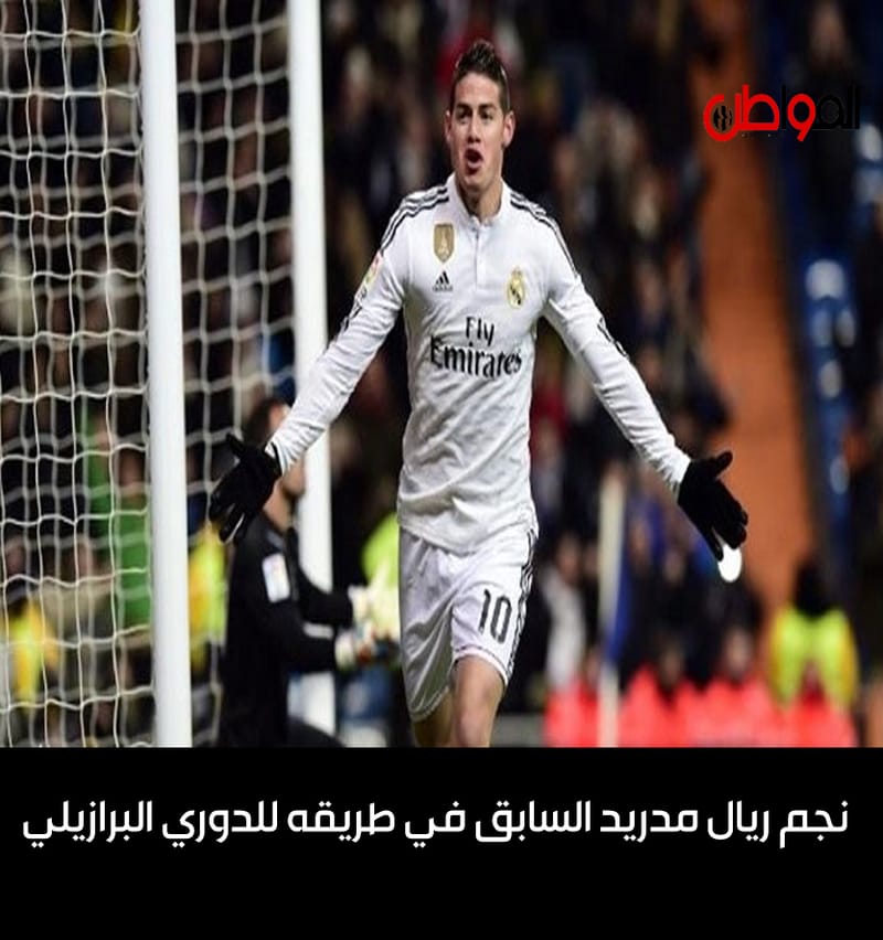 نجم ريال مدريد السابق في طريقه للدوري البرازيلي