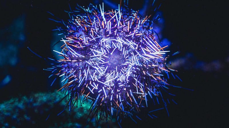 علماء صينيون يطورون مواد بناء صديقة للبيئة مستوحاة من الديدان