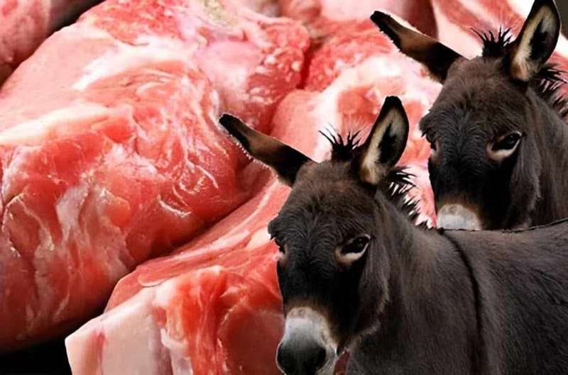 عصابة تسرق الحمير وتبيع لحومها لأحد المطاعم في العراق