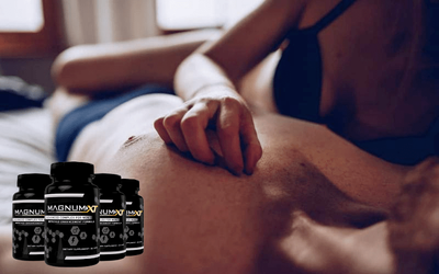 About Of Magnum XT  image