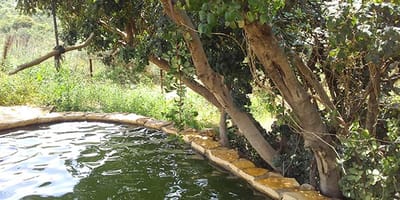 טיולים באזור image