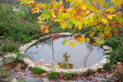 טיולים באזור image