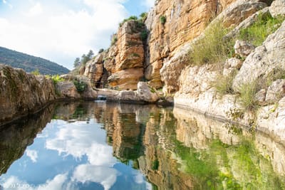 טיולים באזור image