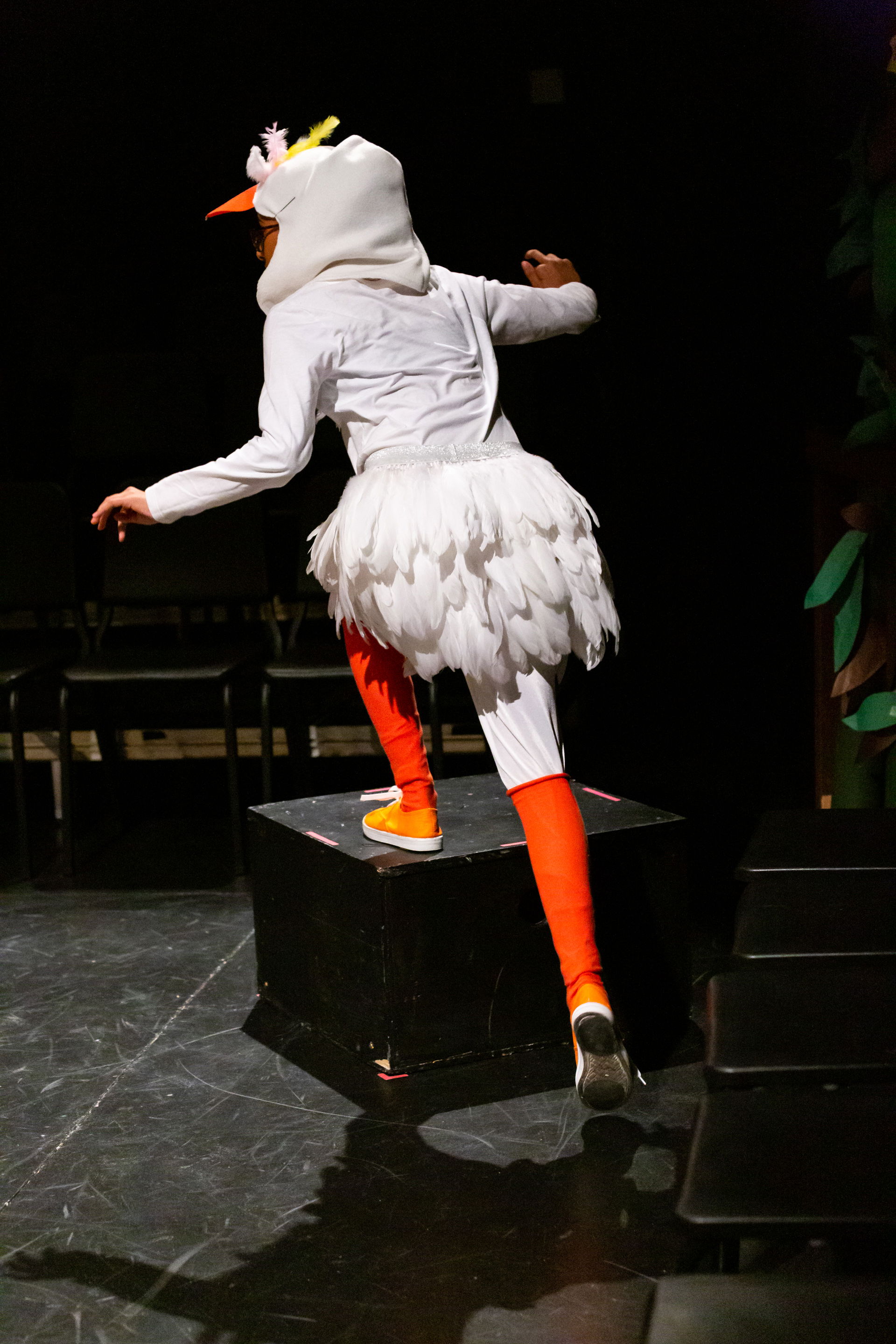 Jack and the Magic Beans - FALL - 2022