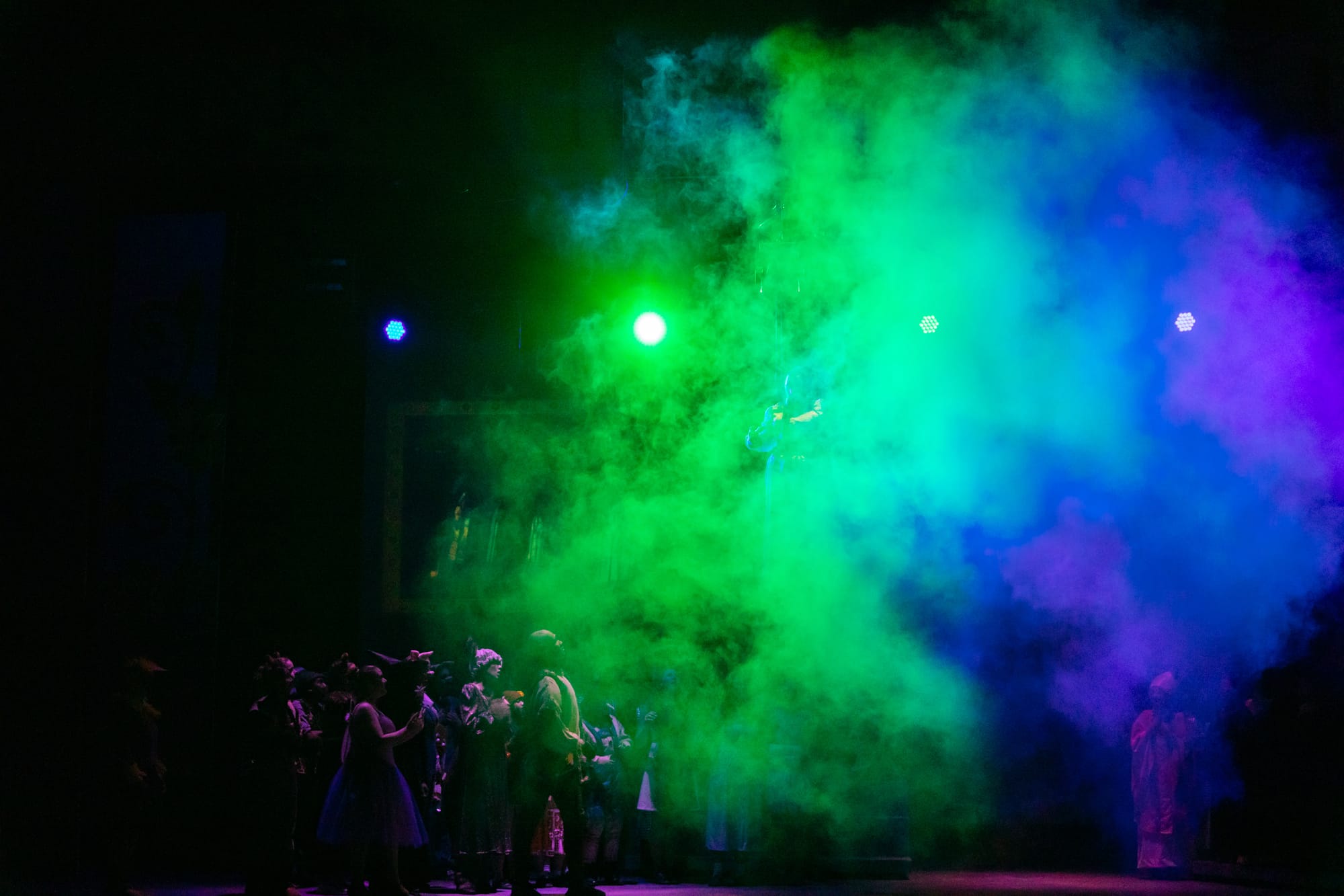 Spring 2024 - Opening Cast