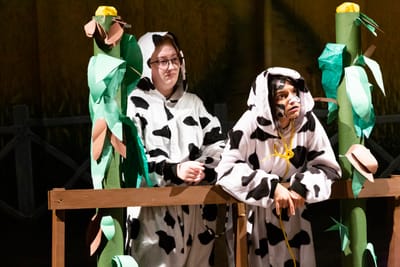 Children&#039;s Show image