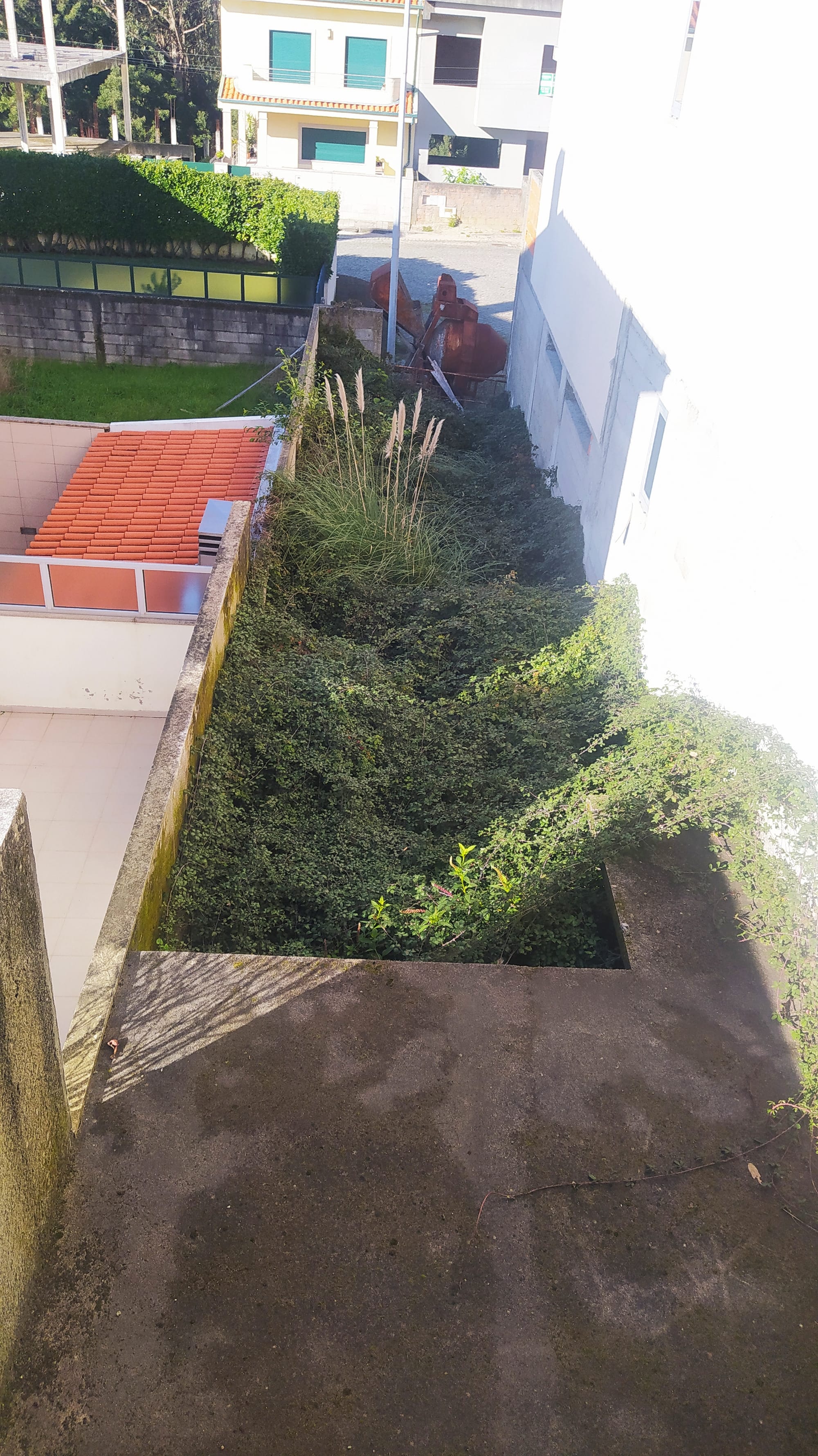 O Inicio da transformação